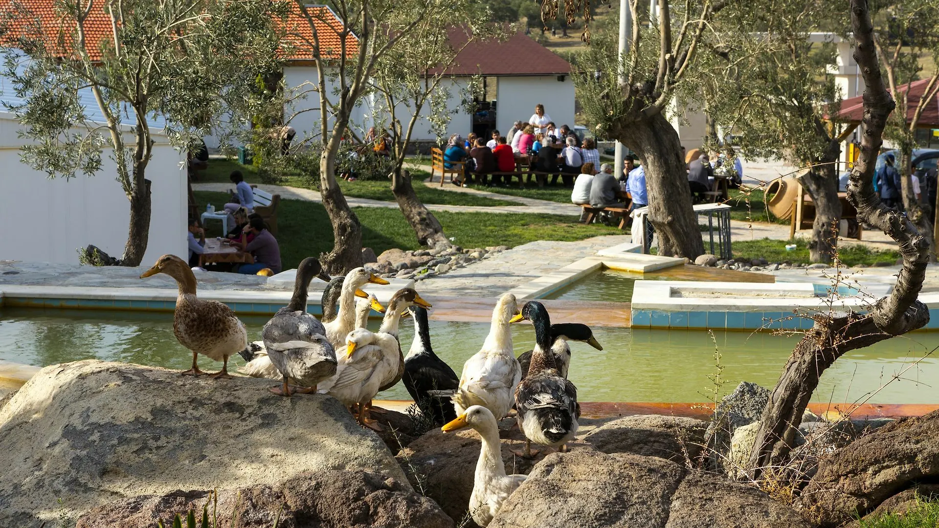 Merada Termal Hotel & Spa Kalem Adasi
